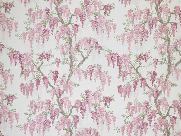 LA Wisteria Coral Pink