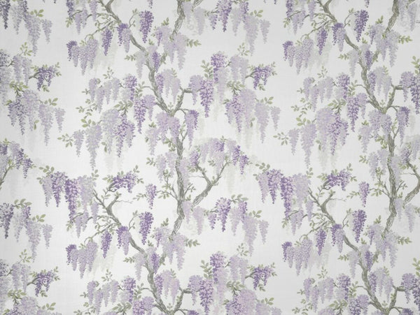 LA Wisteria Lavender